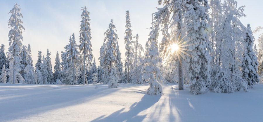 21.12 День Зимнего Солнцестояния